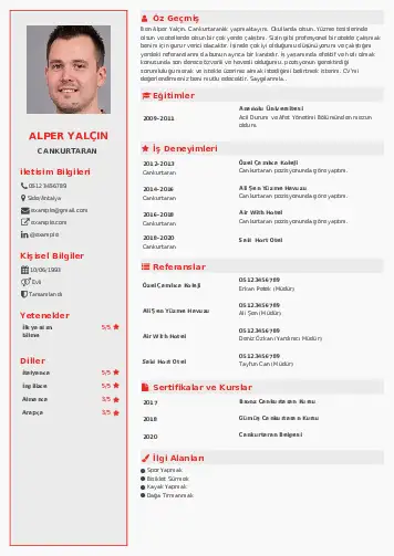 cv indir